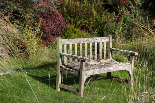 A lichen-covered garden bench