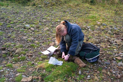 A student at work on lichen-rich grassland